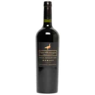 Infinitus Gran Reserva Merlot - Patagonia Argentina