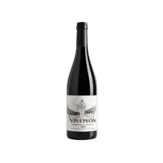 Viña Peón Mencía de Amandi 2022, Ribeira Sacra Galicia - España